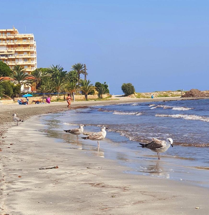Sunflower Residence First Line By The Sea Santa Pola Esterno foto